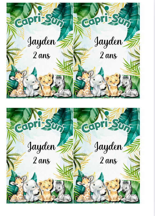 Templates Canva annimaux de la jungle