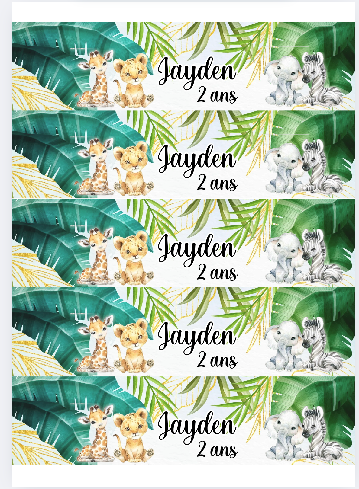 Templates Canva annimaux de la jungle